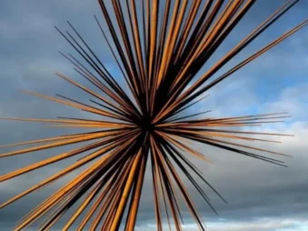 Bang of the bee {{brizy_dc_image_alt entityId=