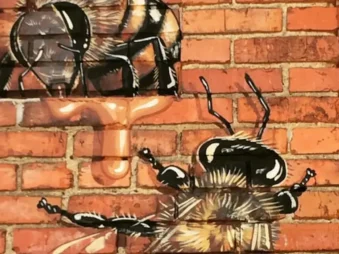 Waggle dance co dance music and he pulse of humanity sir ken {{brizy_dc_image_alt entityId=